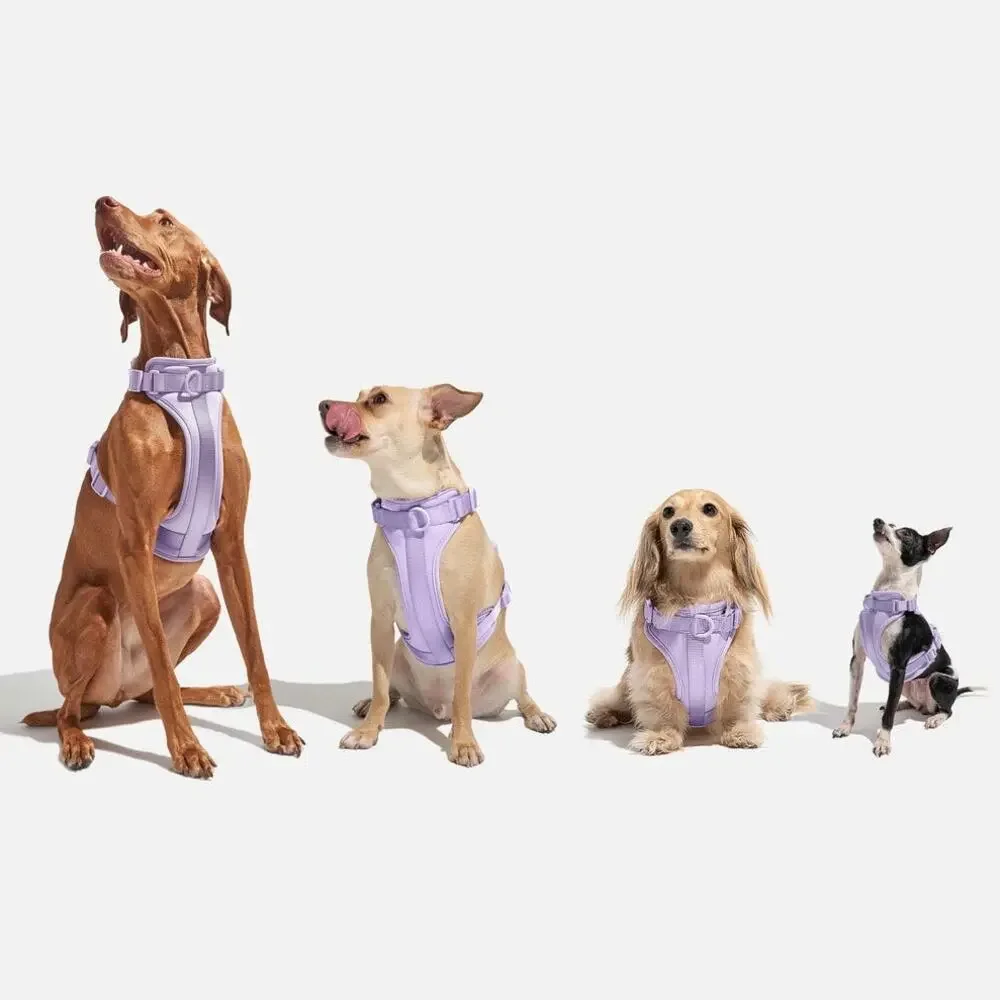 Wild One Adjustable Cushioned Dog Harness - Spruce - Small